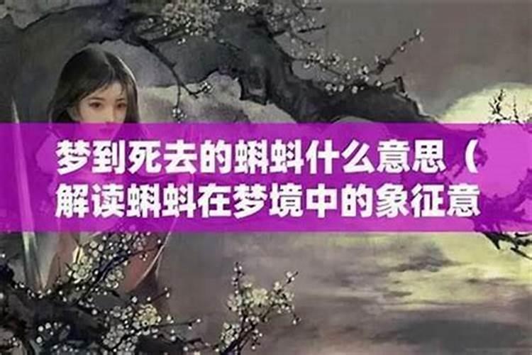 梦见死去的表妹还活着在吃饺子