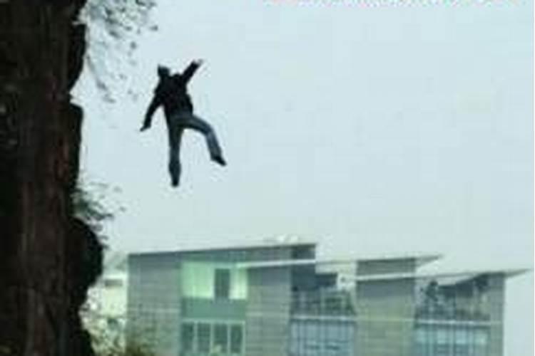 梦见表妹从树上摔下来了没事