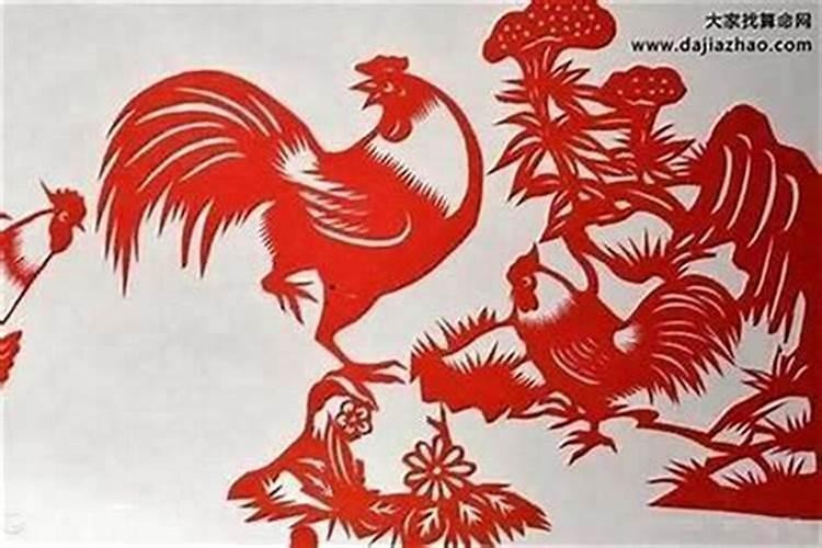 81生女鸡在2026年的运势如何？