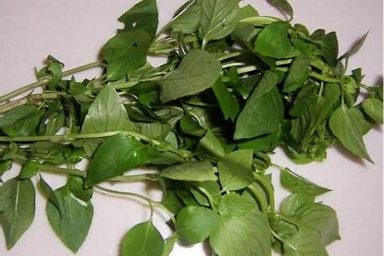 九层文昌塔的功效与作用