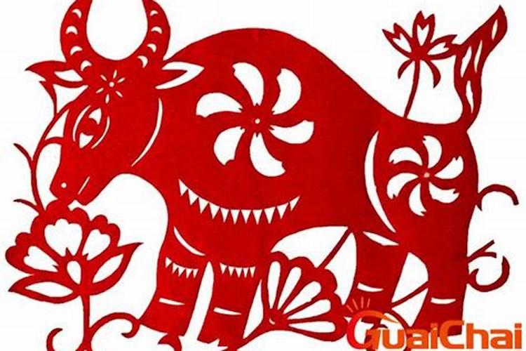 2026年属猪11月出生运势详解