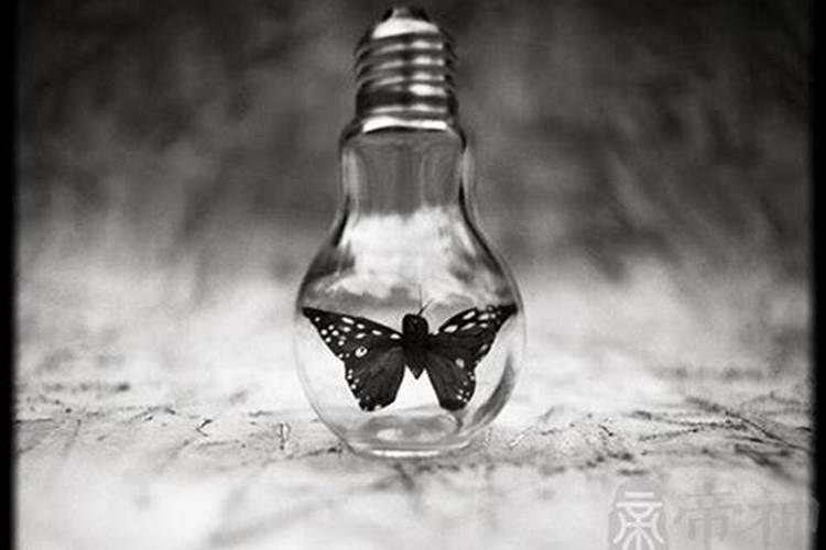 梦到同学有什么兆头预兆？