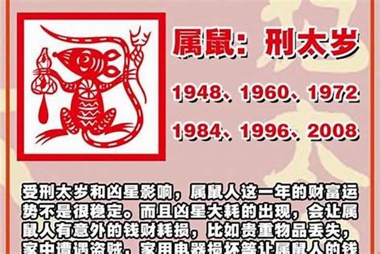 属狗今年犯太岁要注意什么？
