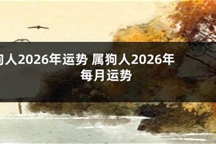 狗寅时生人2026年运势