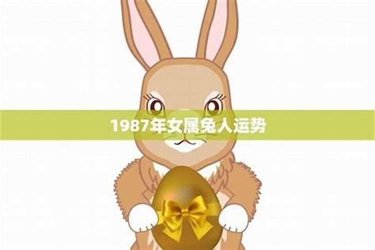 1987年兔相2026年运程