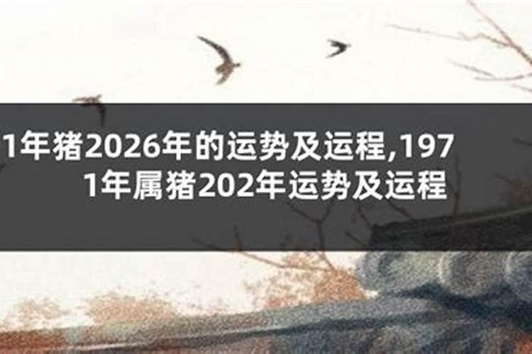 属猪者2026年运程