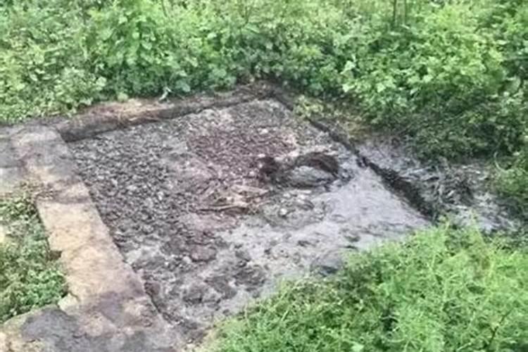 梦见大粪坑是什么意思？