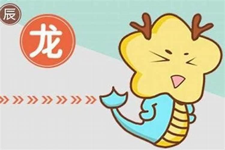 龙和狗的八字合吗？