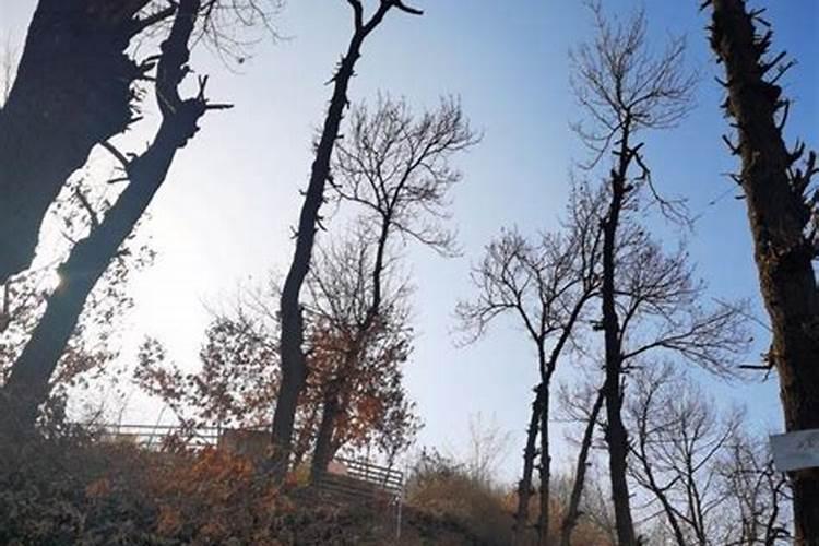 正月初五去哪里爬山最好？