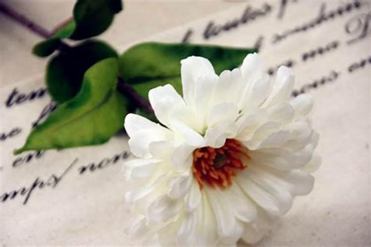 正月初二能去上坟吗？