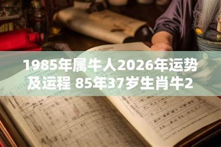 85年的牛2026年运程