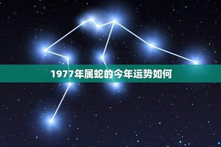 1977年出生的今年的运程如何？