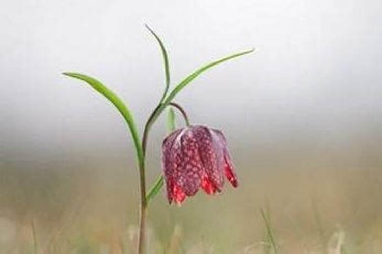 阴债还完有什么感觉？