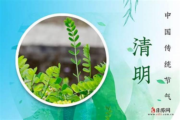 农历清明节是几月几日日子？