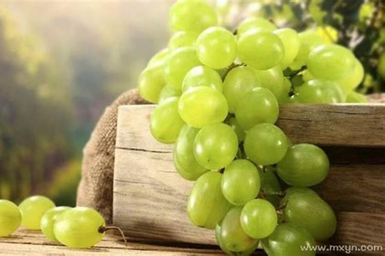 梦到吃葡萄意味着什么？