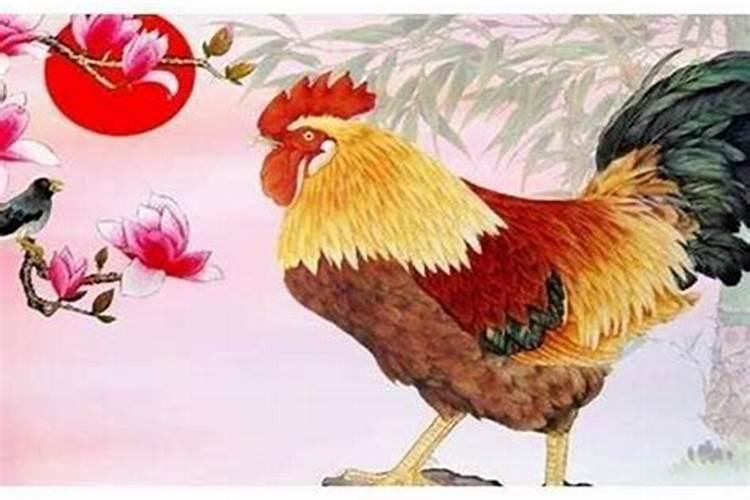 农历一九六九年属鸡的今年的运势