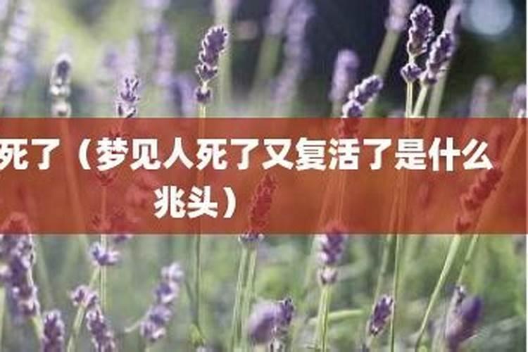 老年人梦到死人了有什么兆头？