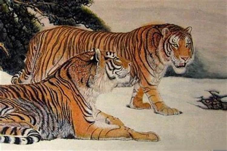 属虎犯太岁如何处理？