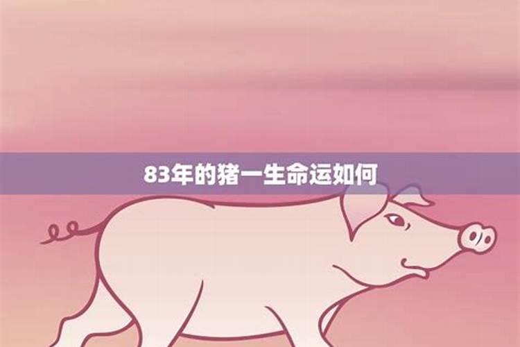 83年的猪2026年运势女