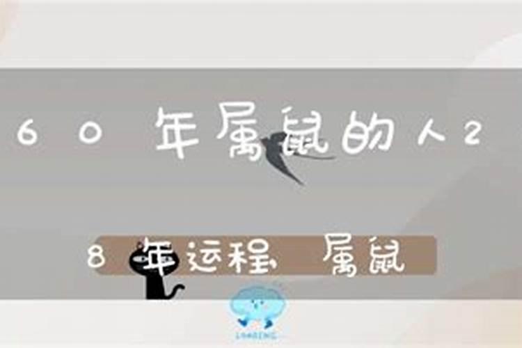 1960年男鼠2026年运程