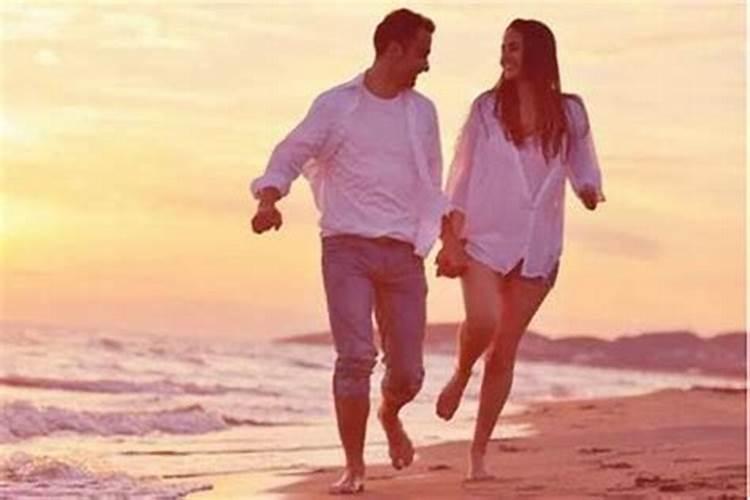 属兔女和属羊女八字合吗？