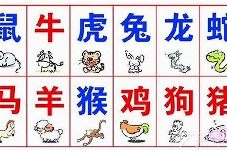生肖合八字相害怎么办？