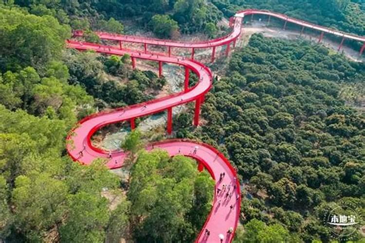 深圳中秋节去哪里？