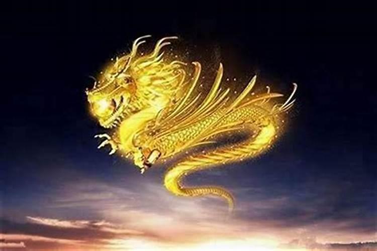 腊月生的龙命运