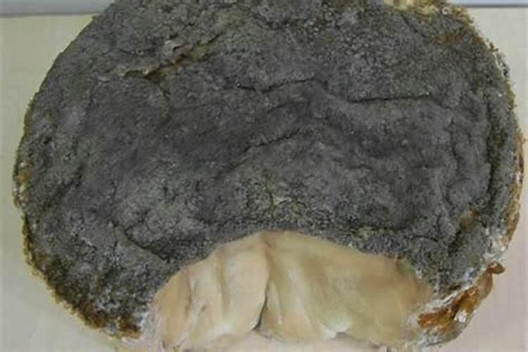 怎样鉴定太岁真假？