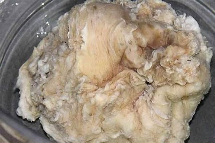 食用太岁有哪些好处？