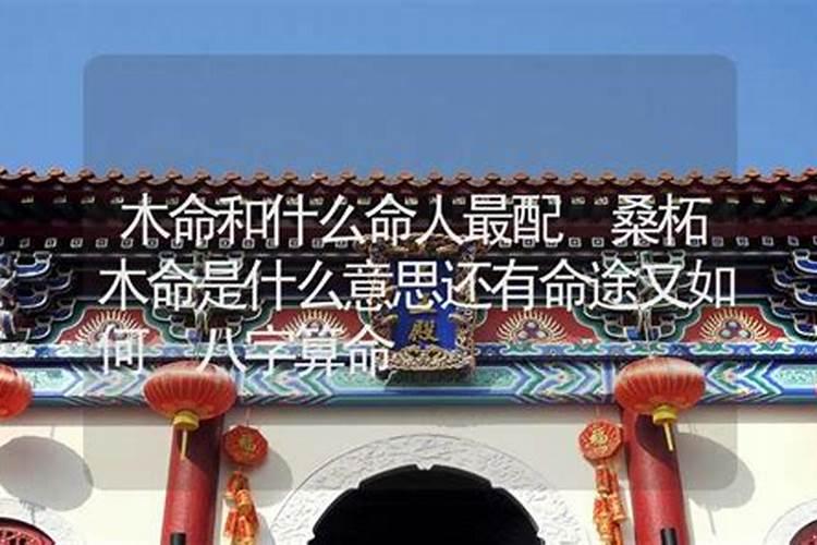 木命是什么意思？