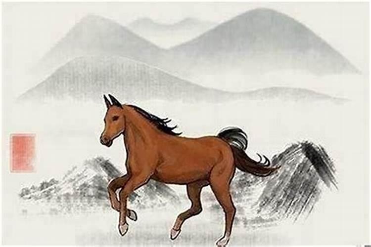 属马遇兔年运势如何？