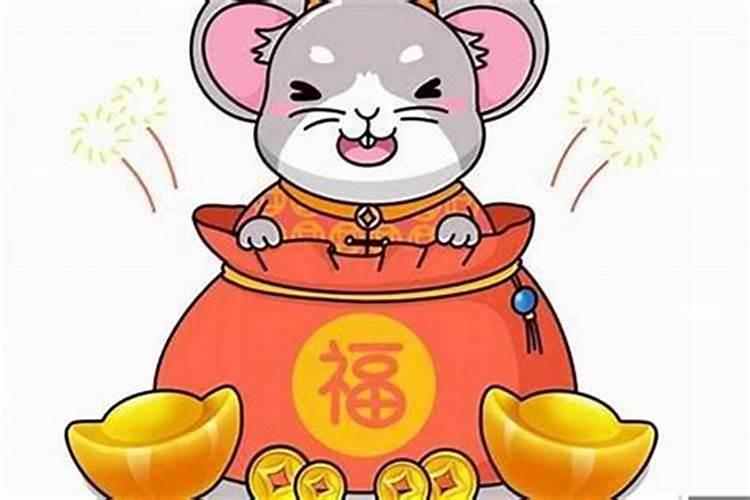 鼠人本命年财运好不好？