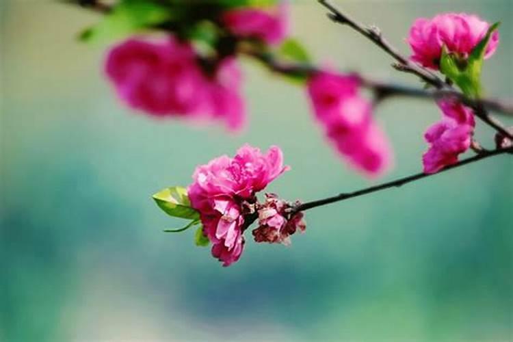 闰月适合做法事