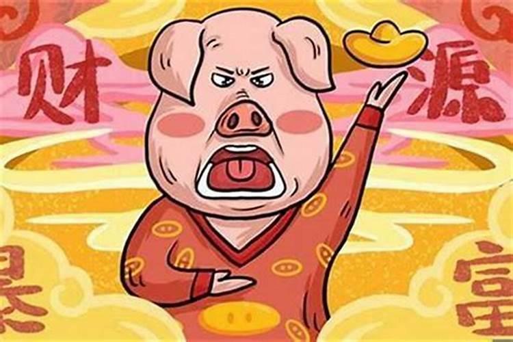 男数鼠和数猪的合婚吗？