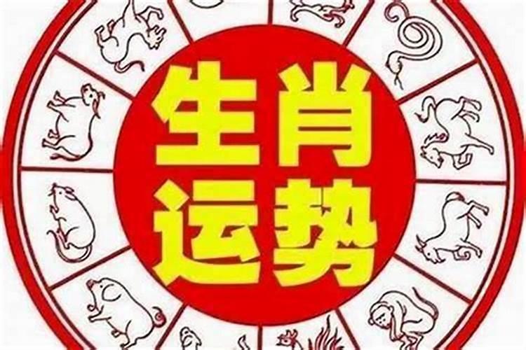 小人生肖是什么生肖动物？
