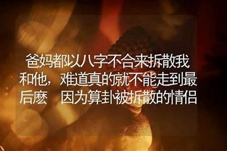 八字不合就要被拆散