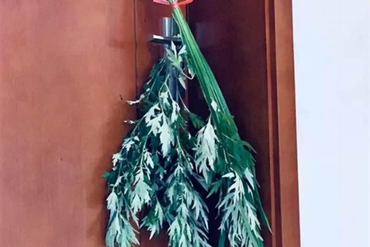 端午节艾蒿放哪里？