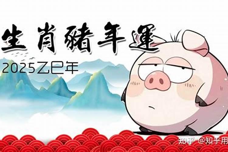 2026年属猪人8月份运势如何？