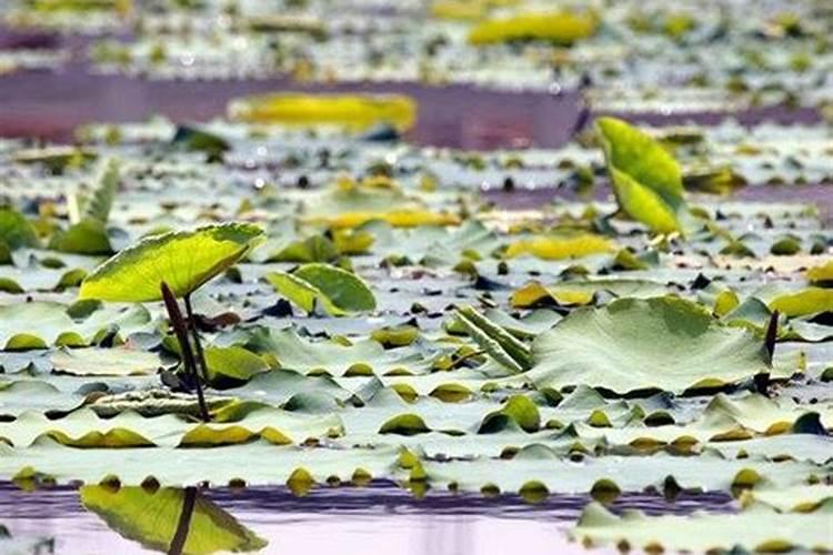 堕胎超度一定要做吗？