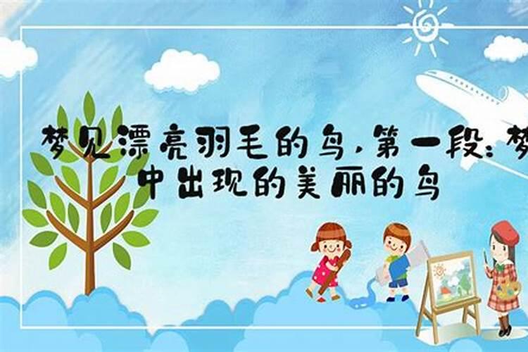 梦见漂亮的鸟是什么意思？