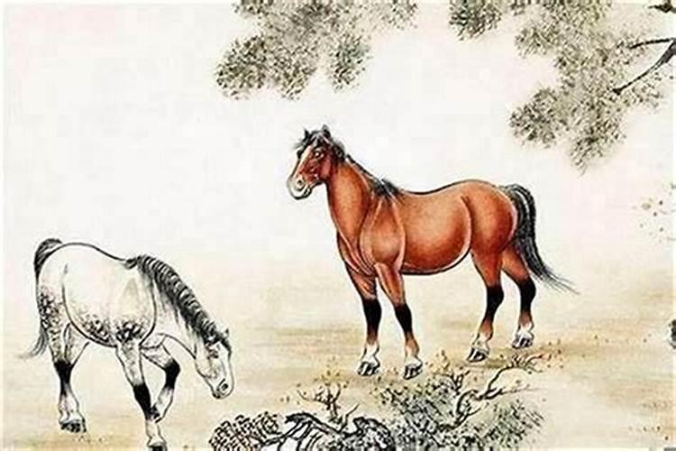 一月的马和四月的牛合婚吗？