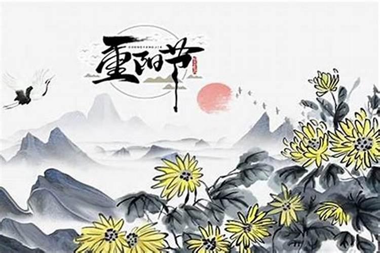 农历九月初九是什么花？