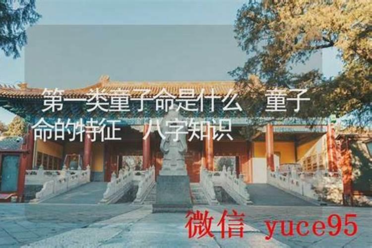 什么是第一童子命？