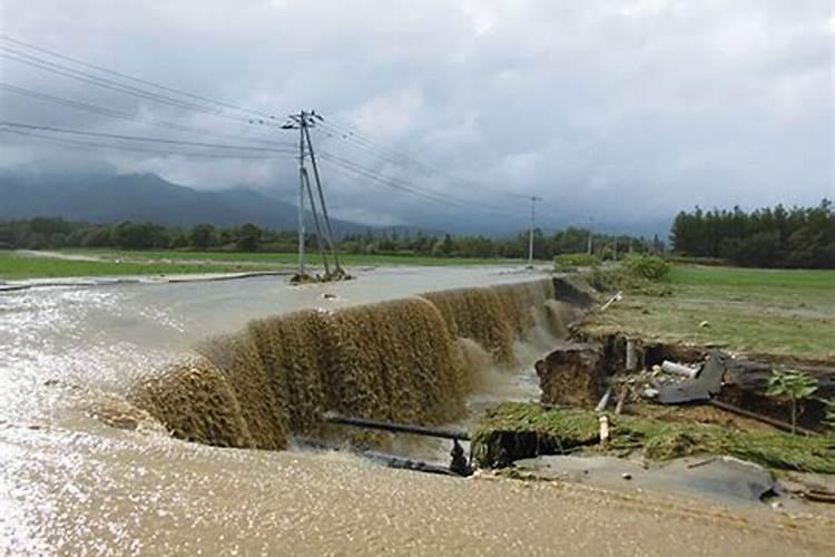 2o16龙人的运势如何？