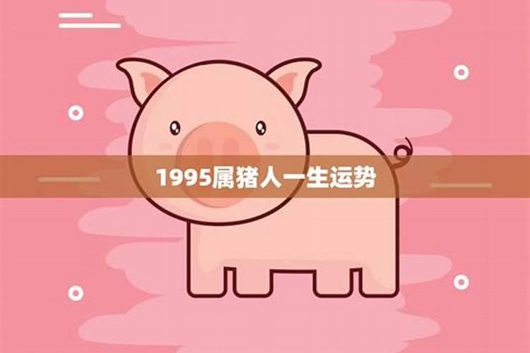 1995年属猪男在2026年运势