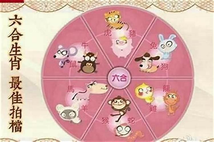 属猴正月初五运势