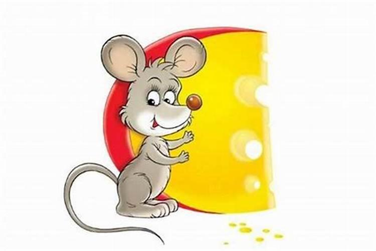 84鼠年生人2026年运程