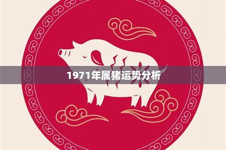 1971年属猪2026年的运程如何？