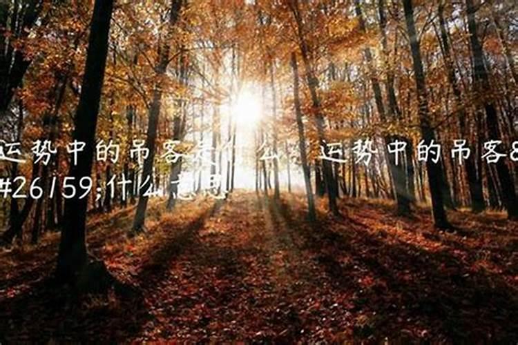 运势里吊客是什么意思？